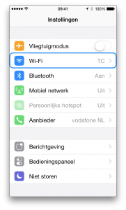 iPhone DNS 1