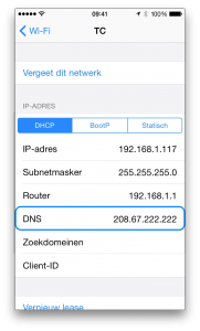 iPhone DNS 3