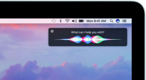 siri-sierra